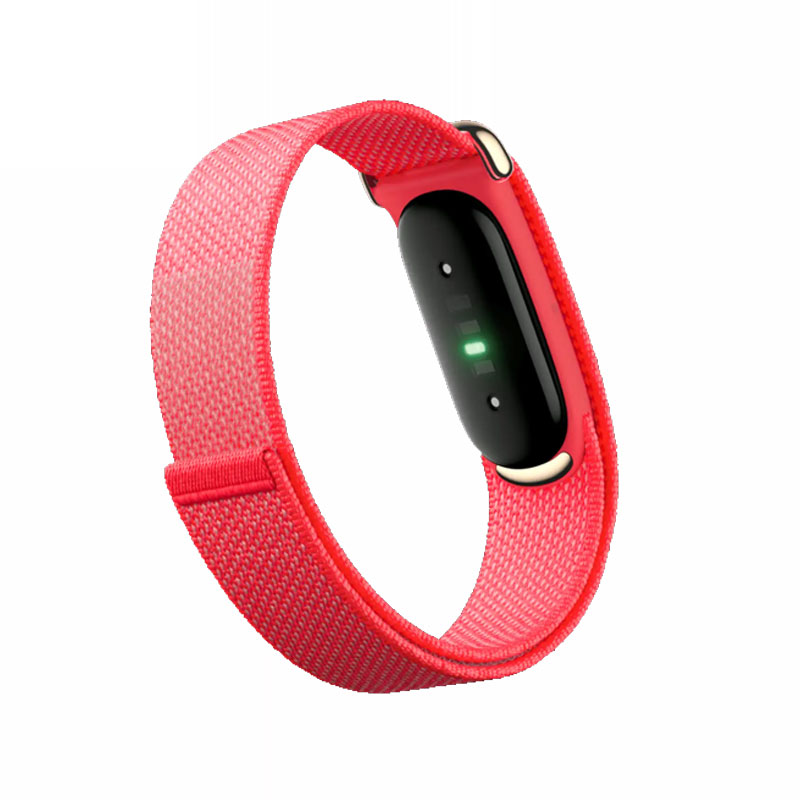 Google Fitbit Air