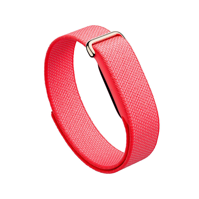 Google Fitbit Air
