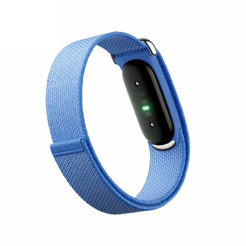 Google Fitbit Air
