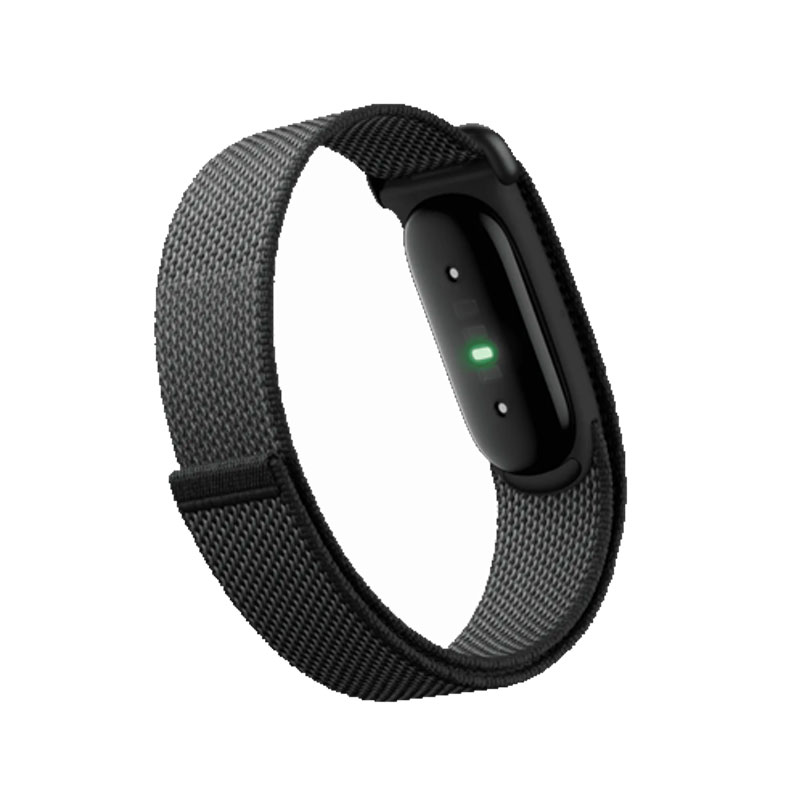 Google Fitbit Air