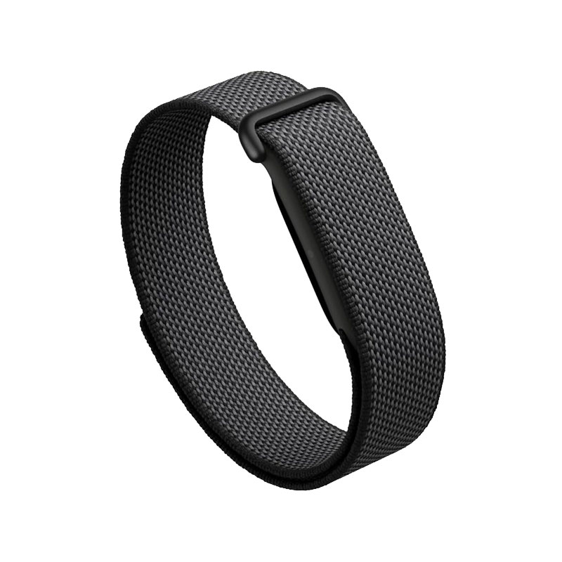 Google Fitbit Air