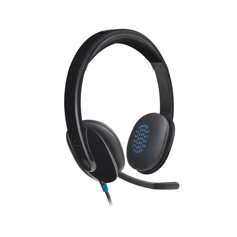 Logitech H540 USB Computer Headset