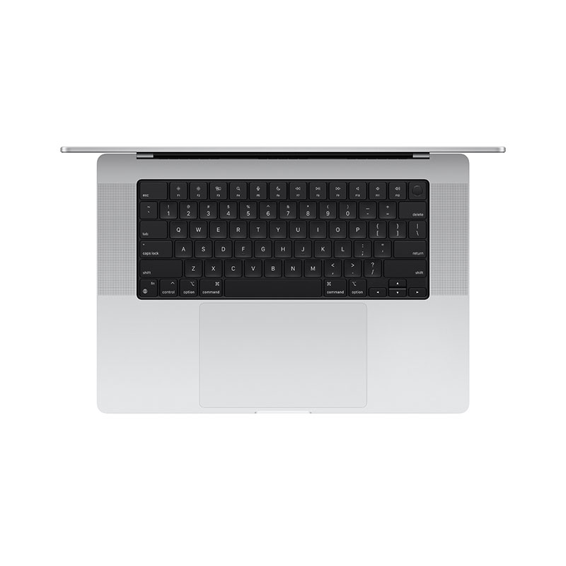 MacBook Pro 16" M4 Max Chip 36GB/1TB Silver (14C CPU 32C GPU)