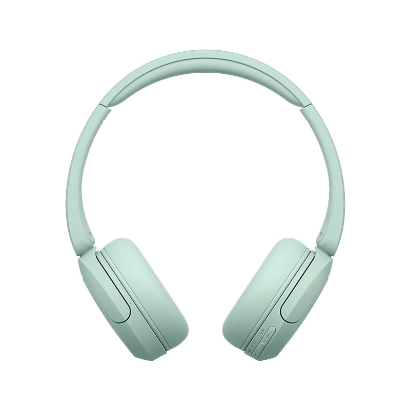 Sony WH-CH530 Wireless Headphone