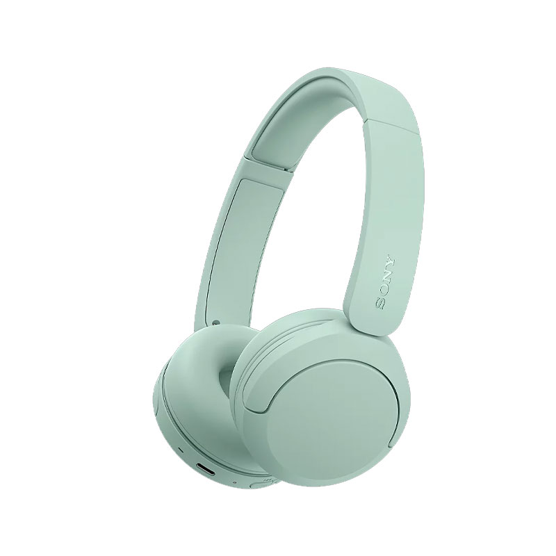 Sony WH-CH530 Wireless Headphone