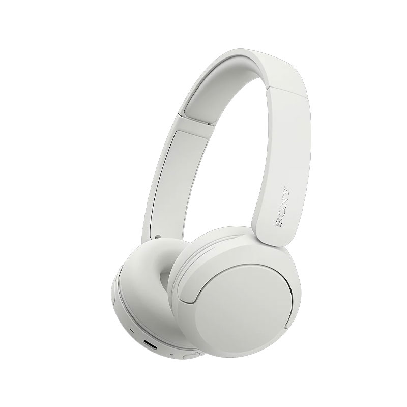 Sony WH-CH530 Wireless Headphone