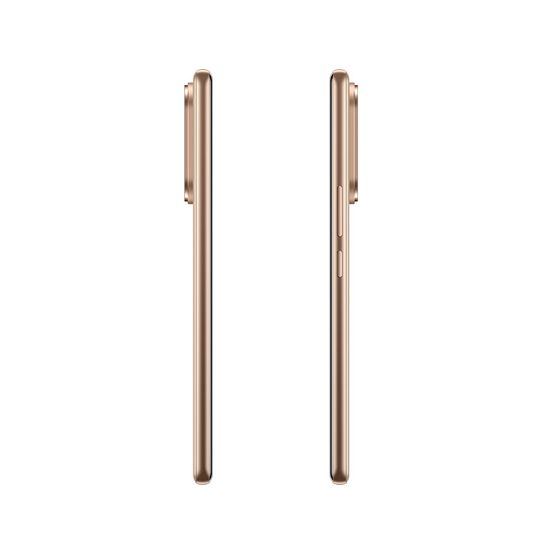 Vivo V60 5G (12/256GB)
