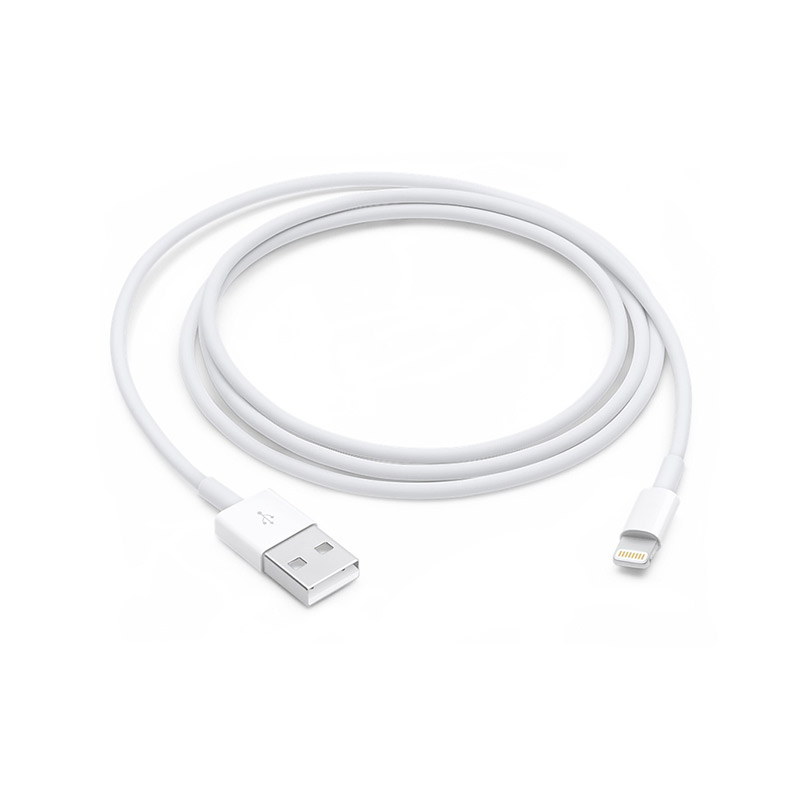 Apple Lightning to USB Cable (1M)