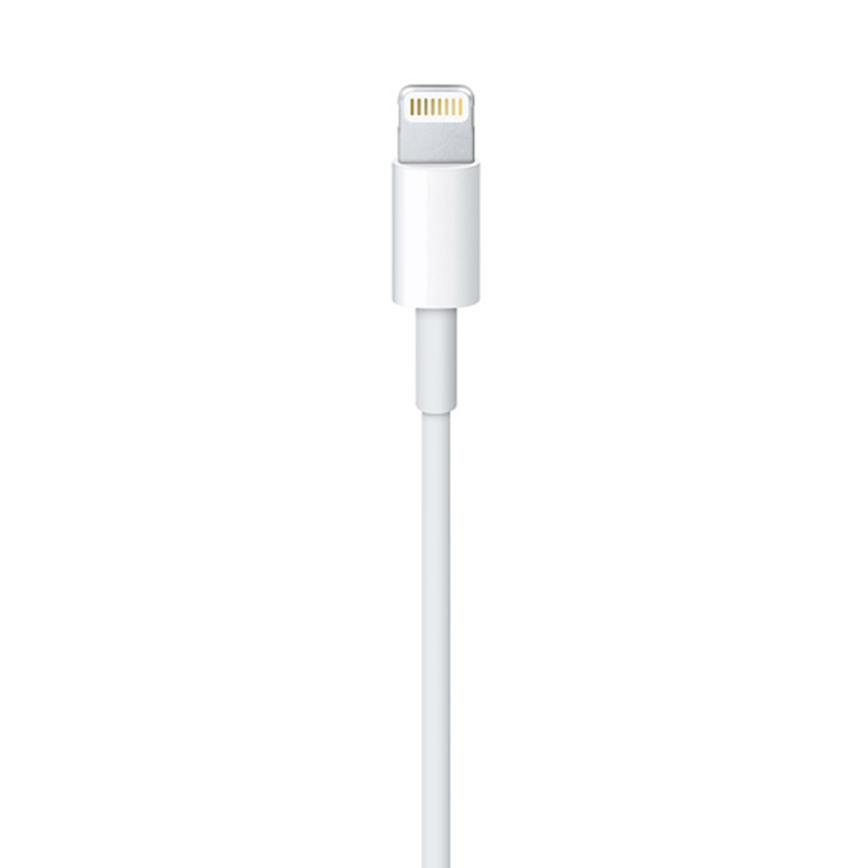 Apple Lightning to USB Cable (2M)