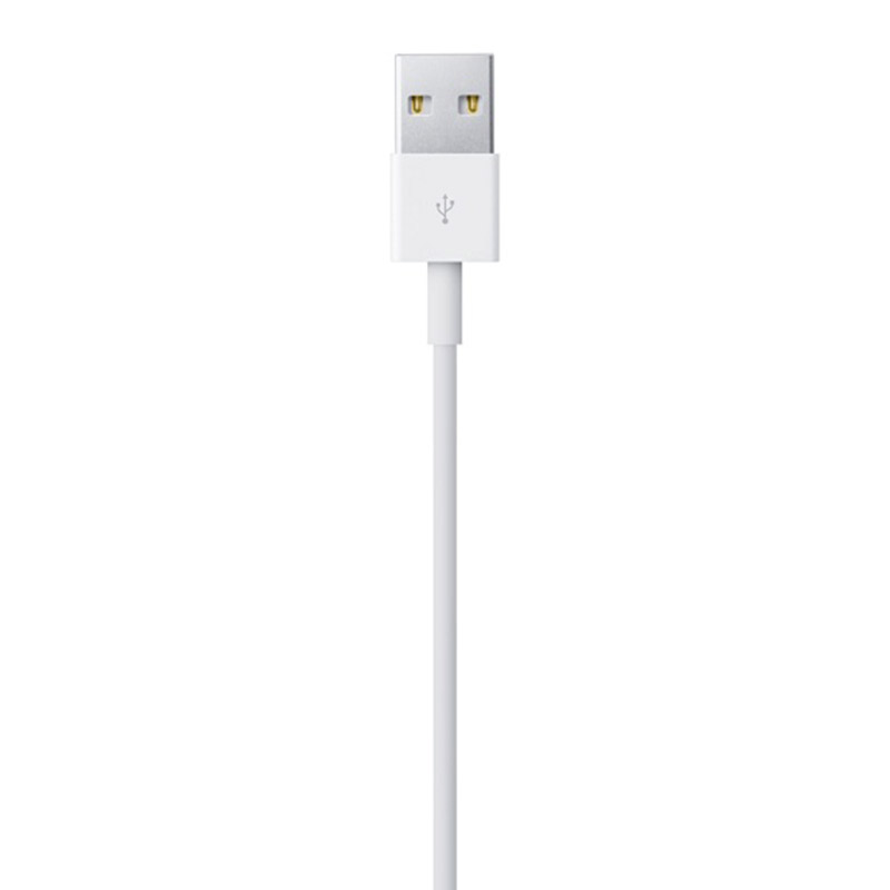 Apple Lightning to USB Cable (2M)
