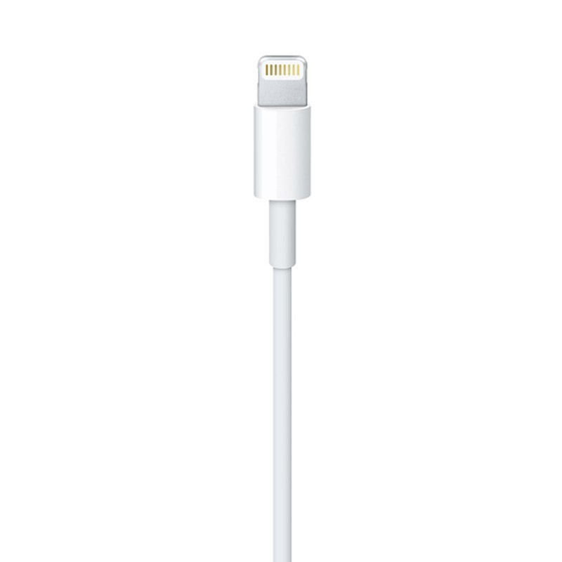 Apple USB-C to Lightning Cable (1M)