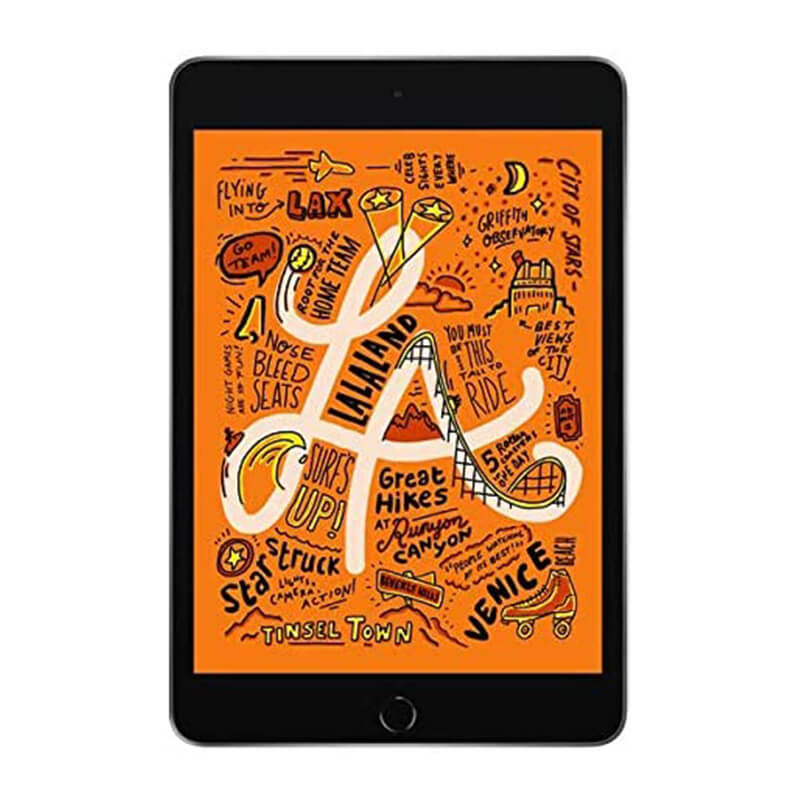 iPad mini 5 WiFi